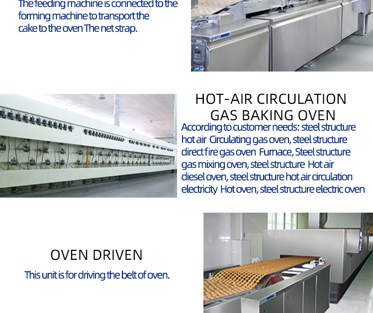 Crisp biscuit machine production line(图3)